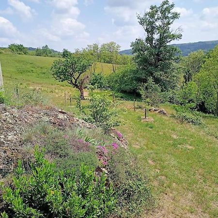 Ecrin De Verdure En Ardeche Verte Colombier-le-Vieux Exterior foto