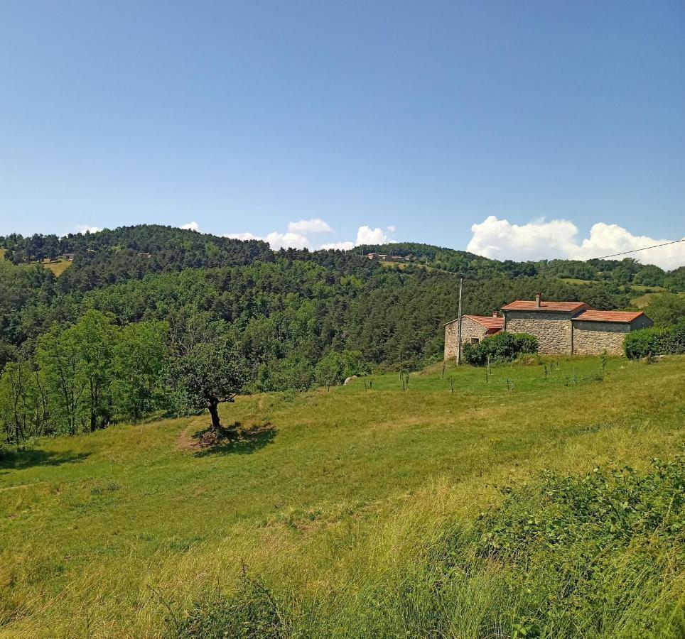 Ecrin De Verdure En Ardeche Verte Colombier-le-Vieux Exterior foto